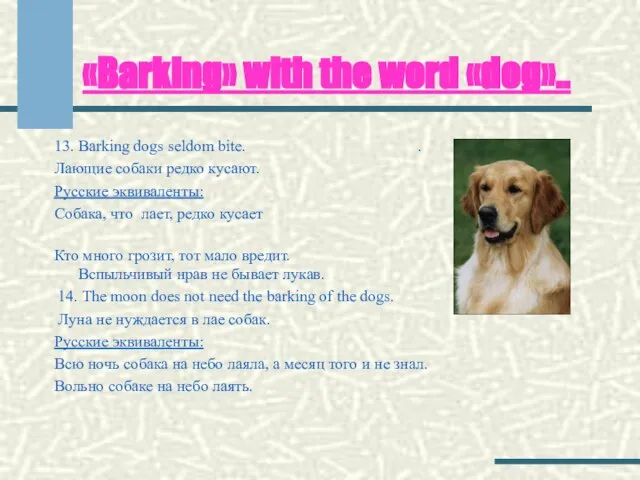 «Barking» with the word «dog».. 13. Barking dogs seldom bite. . Лающие