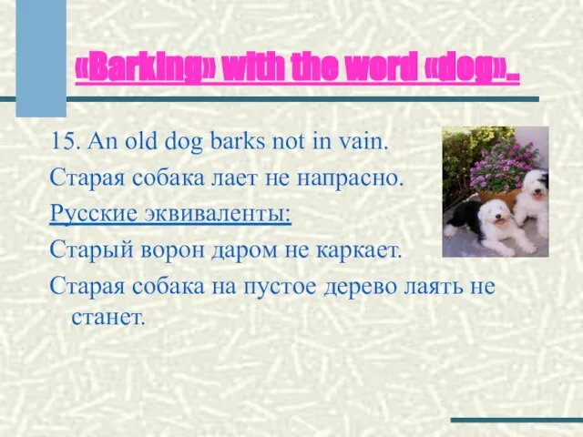 «Barking» with the word «dog».. 15. An old dog barks not in