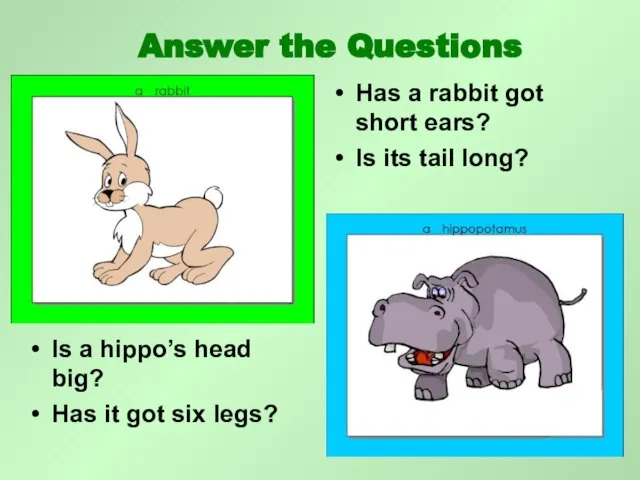 Is a hippo’s head big? Has it got six legs? Has a