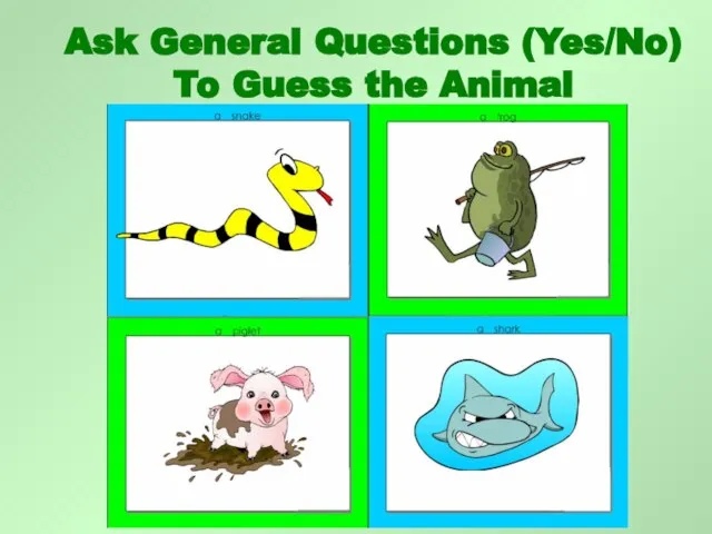 Ask General Questions (Yes/No) To Guess the Animal