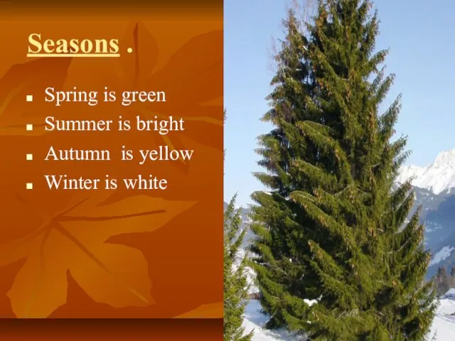 Seasons . Spring is green Summer is bright Autumn is yellow Winter is white