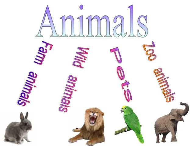 Animals Pets Farm animals Zoo animals Wild animals