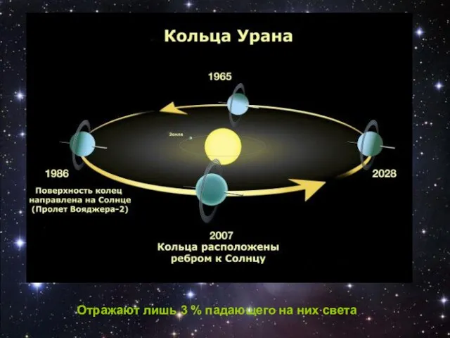 Отражают лишь 3 % падающего на них света