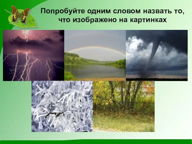 Попробуйте одним словом назвать то, что изображено на картинках