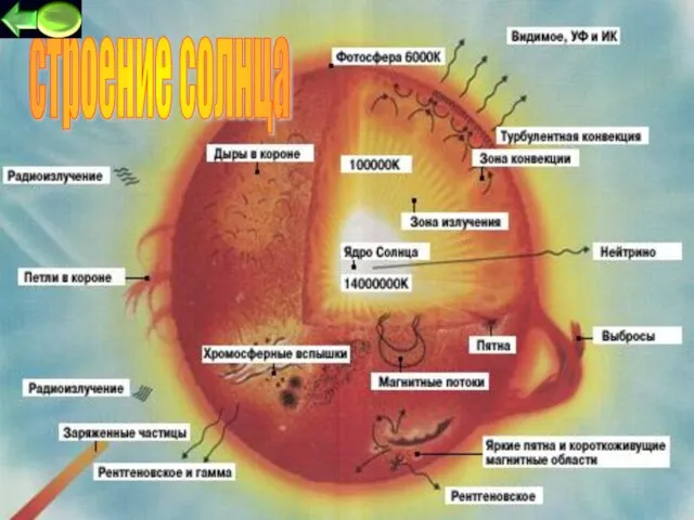 строение солнца