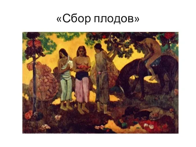 «Сбор плодов»