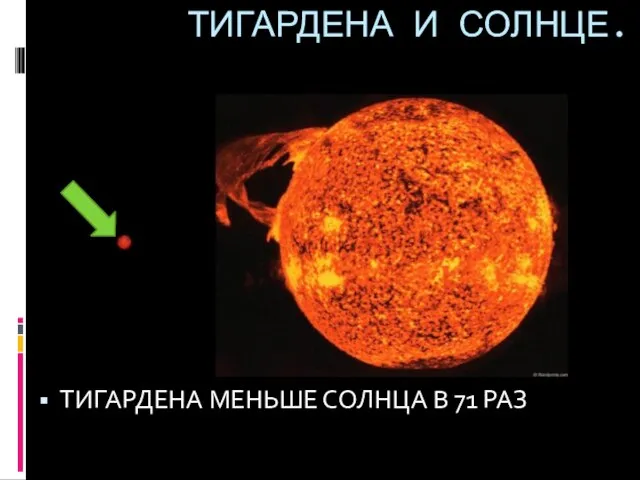 ТИГАРДЕНА И СОЛНЦЕ. ТИГАРДЕНА МЕНЬШЕ СОЛНЦА В 71 РАЗ