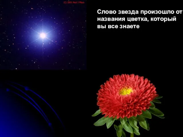 Слово звезда произошло от названия цветка, который вы все знаете