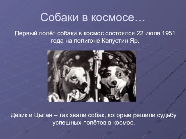 Собаки в космосе… Первый полёт собаки в космос состоялся 22 июля 1951