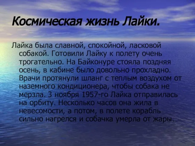 Космическая жизнь Лайки. Лайка была славной, спокойной, ласковой собакой. Готовили Лайку к