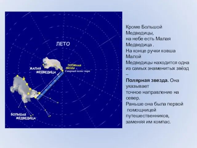 Кроме Большой Медведицы, на небе есть Малая Медведица . На конце ручки