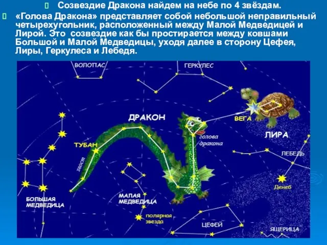 Созвездие Дракона найдем на небе по 4 звёздам. «Голова Дракона» представляет собой