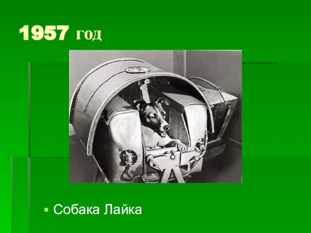 1957 год Собака Лайка