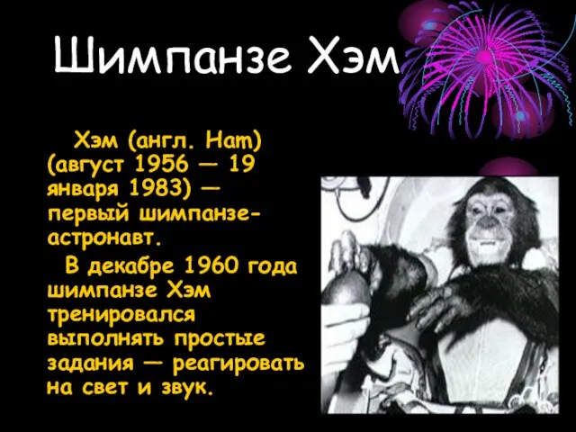 Шимпанзе Хэм Хэм (англ. Ham) (август 1956 — 19 января 1983) —