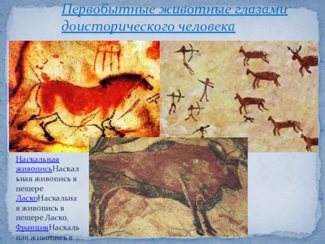 Первобытные животные глазами доисторического человека Наскальная живописьНаскальная живопись в пещере ЛаскоНаскальная живопись