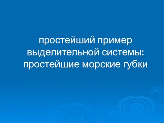 простейший пример выделительной системы: простейшие морские губки