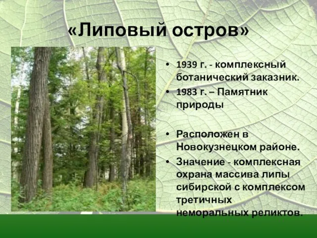 «Липовый остров» 1939 г. - комплексный ботанический заказник. 1983 г. – Памятник