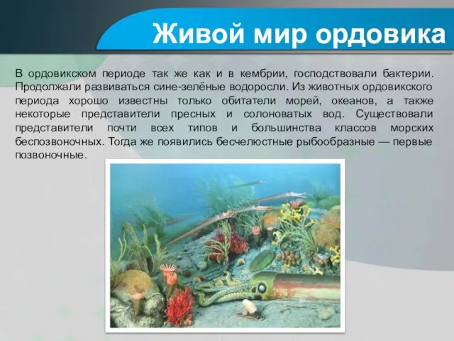 В ордовикском периоде так же как и в кембрии, господствовали бактерии. Продолжали