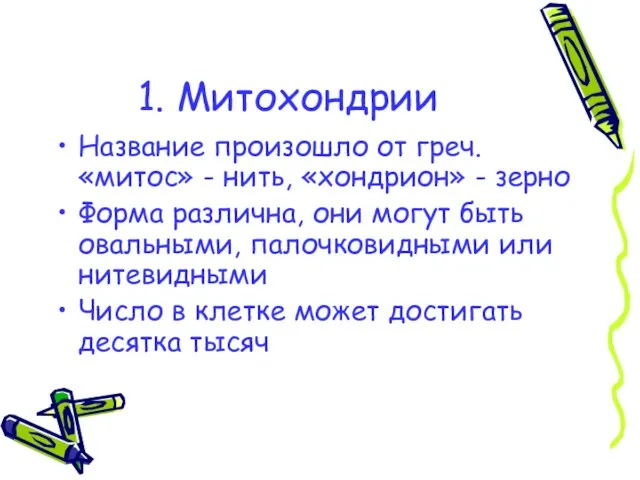 1. Митохондрии Название произошло от греч. «митос» - нить, «хондрион» - зерно