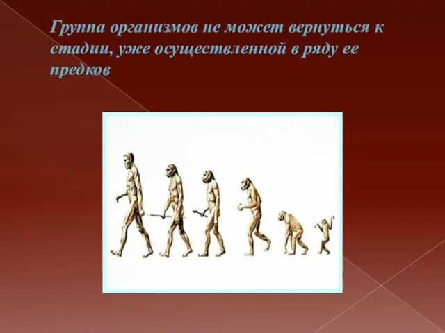 Группа организмов не может вернуться к стадии, уже осуществленной в ряду ее предков