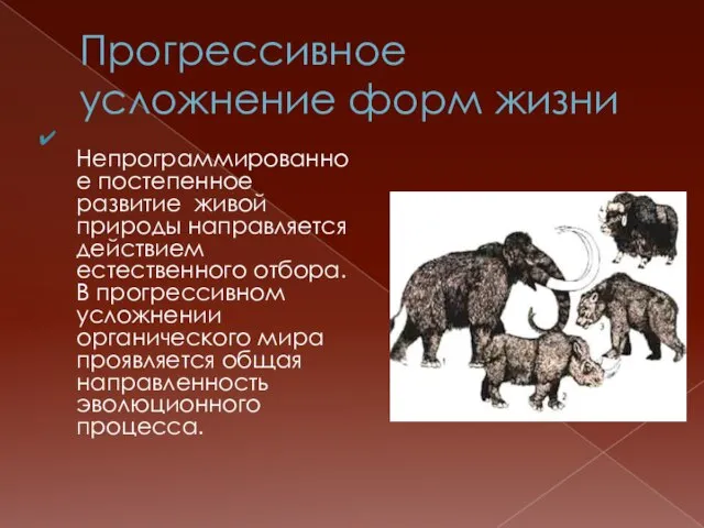 Прогрессивное усложнение форм жизни Непрограммированное постепенное развитие живой природы направляется действием естественного