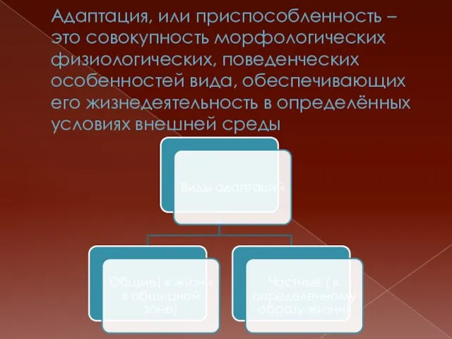 Адаптация, или приспособленность – это совокупность морфологических физиологических, поведенческих особенностей вида, обеспечивающих