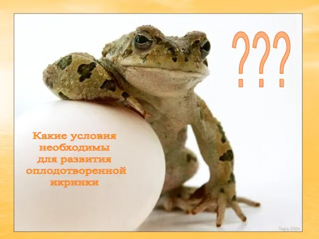 икра Какие условия необходимы для развития оплодотворенной икринки ???