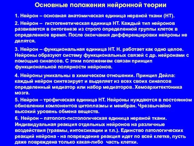 Основные положения нейронной теории 1. Нейрон – основная анатомическая единица нервной ткани