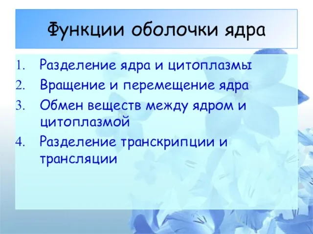 Функции оболочки ядра Разделение ядра и цитоплазмы Вращение и перемещение ядра Обмен