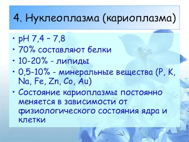 4. Нуклеоплазма (кариоплазма) рН 7,4 – 7,8 70% составляют белки 10-20% -