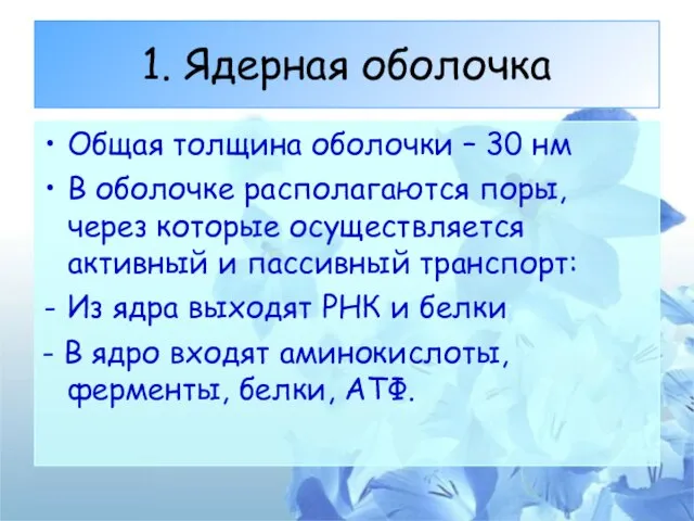 1. Ядерная оболочка Общая толщина оболочки – 30 нм В оболочке располагаются