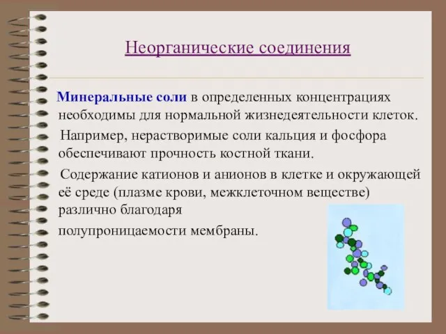 Неорганические соединения Минеральные соли в определенных концентрациях необходимы для нормальной жизнедеятельности клеток.