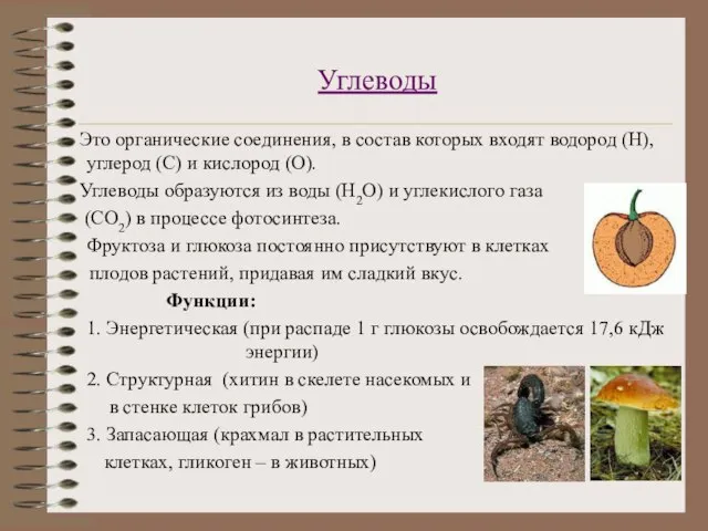 Углеводы Это органические соединения, в состав которых входят водород (Н), углерод (С)