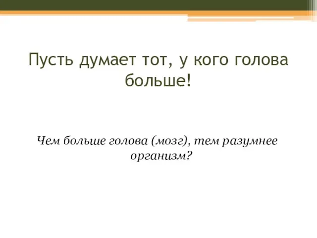 Пусть думает тот, у кого голова больше! Чем больше голова (мозг), тем разумнее организм?