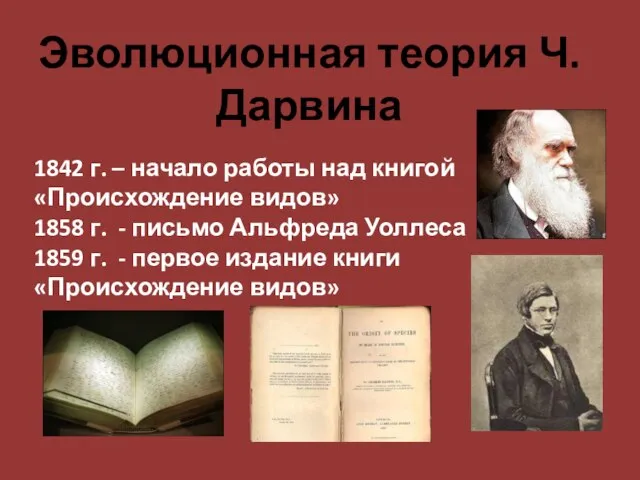 Эволюционная теория Ч. Дарвина 1842 г. – начало работы над книгой «Происхождение