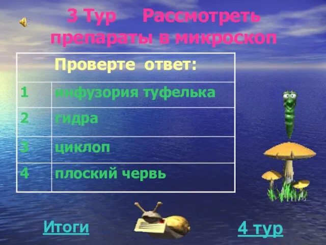 3 Тур Рассмотреть препараты в микроскоп 4 тур Итоги