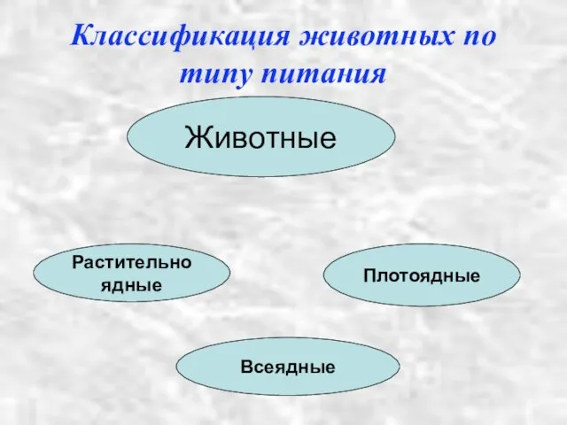 Классификация животных по типу питания Животные Растительноядные Плотоядные Всеядные