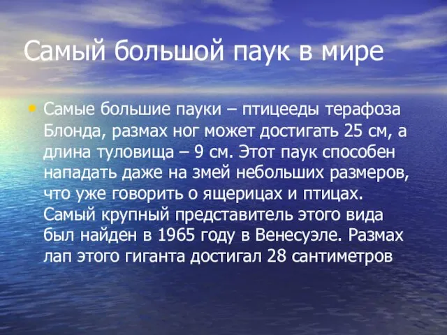 Самый большой паук в мире Самые большие пауки – птицееды терафоза Блонда,