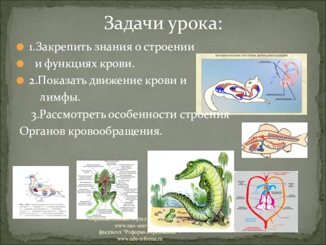 1.Закрепить знания о строении и функциях крови. 2.Показать движение крови и лимфы.