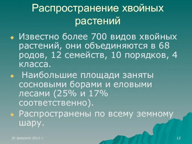 Распространение хвойных растений Известно более 700 видов хвойных растений, они объединяются в