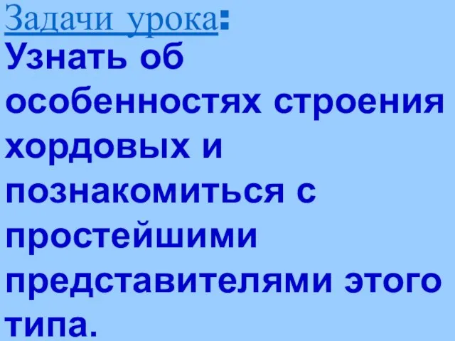 Узнать об особенностях строения хордовых и познакомиться с простейшими представителями этого типа. Задачи урока: