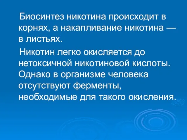 Биосинтез никотина происходит в корнях, а накапливание никотина — в листьях. Никотин