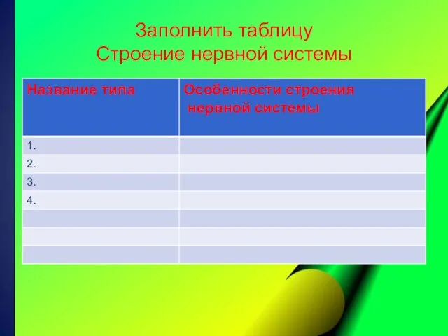 Заполнить таблицу Строение нервной системы