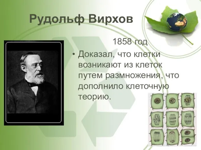 Рудольф Вирхов 1858 год Доказал, что клетки возникают из клеток путем размножения, что дополнило клеточную теорию.