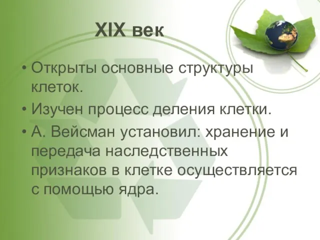 XIX век Открыты основные структуры клеток. Изучен процесс деления клетки. А. Вейсман