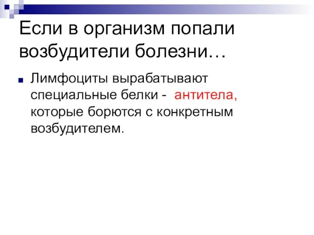 Если в организм попали возбудители болезни… Лимфоциты вырабатывают специальные белки - антитела,