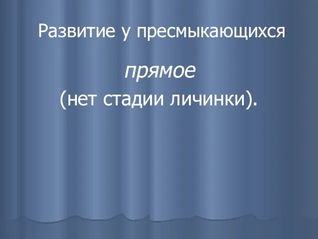 Развитие у пресмыкающихся прямое (нет стадии личинки).