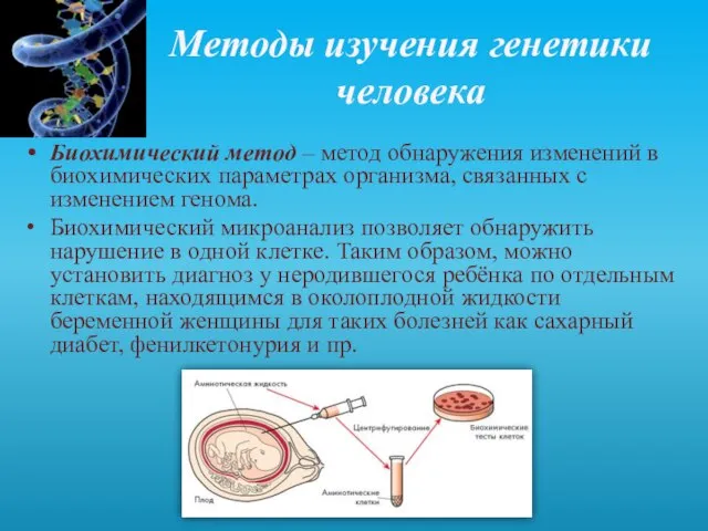 Методы изучения генетики человека Биохимический метод – метод обнаружения изменений в биохимических