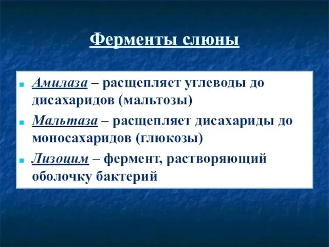 Ферменты слюны Амилаза – расщепляет углеводы до дисахаридов (мальтозы) Мальтаза – расщепляет