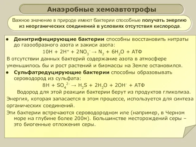 Бескислородное (анаэробное) дыхание Важное значение в природе имеют бактерии способные получать энергию